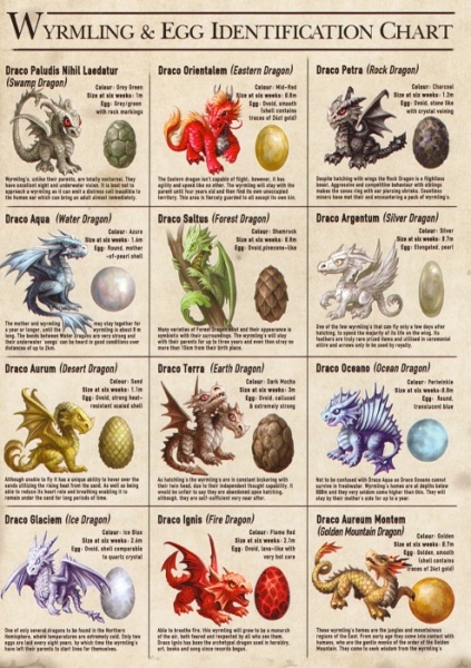 Wyrmling & Egg Identification Chart Greeting Card