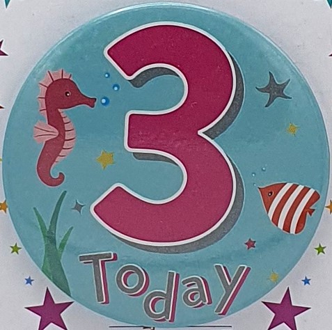 Seahorse Age 3 Birthday Badge