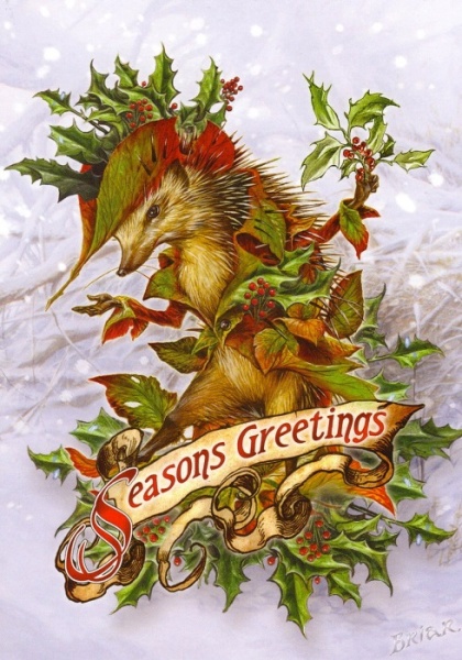 Mr Hedgely's Yuletide Coat Christmas Card