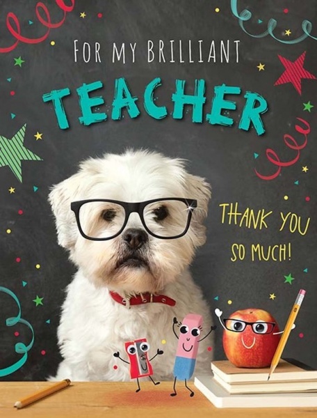 My Brilliant Teacher Thank You Card