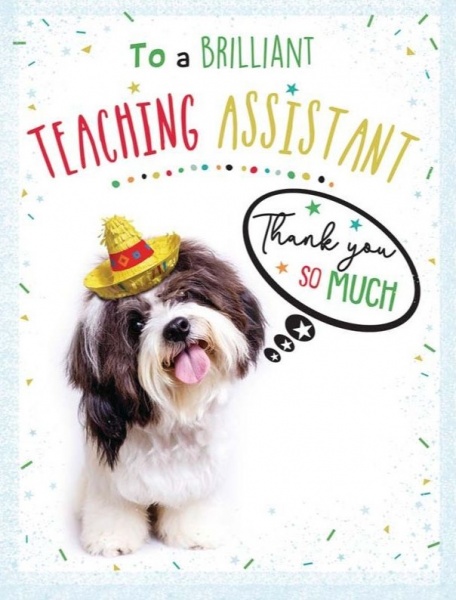 Brilliant Teaching Assistant Thank You Card