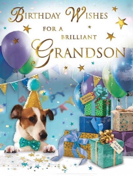 Birthday Dog Grandson Birthday Card