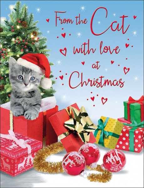 From The Cat Christmas Card