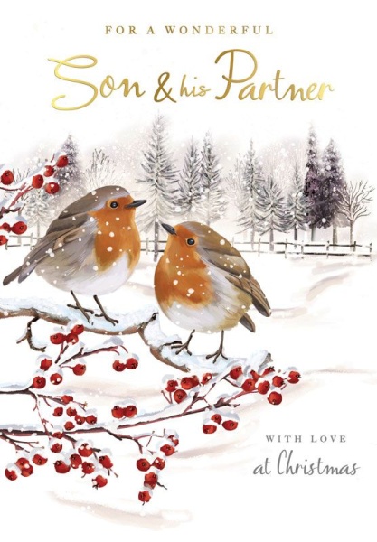 Robins Son & Partner Christmas Card