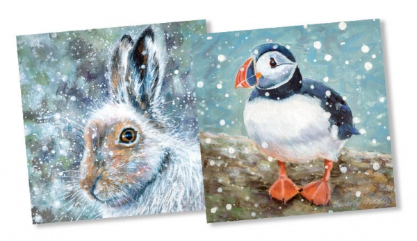 Puffin In Snow & Winter Hare Christmas Cards Pack Of 10