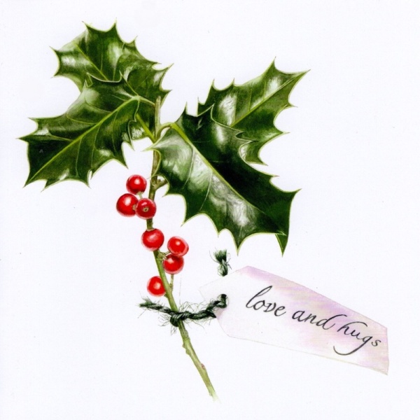 Holly & Christmas Rose Christmas Cards Pack Of 10