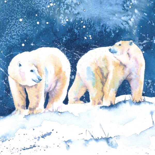 Penguins & Polar Bears Christmas Cards Pack Of 10