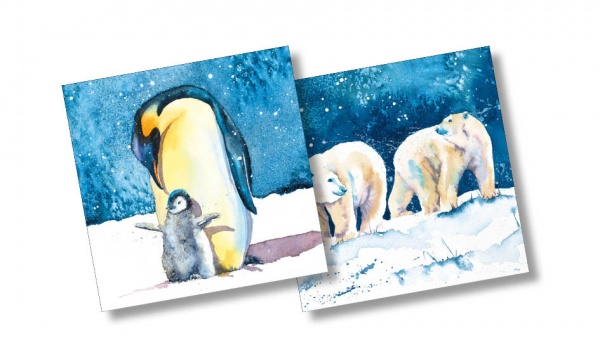 Penguins & Polar Bears Christmas Cards Pack Of 10