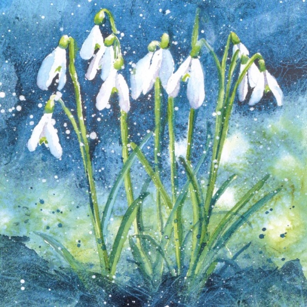 Robin & Snowdrops Christmas Cards Pack Of 10