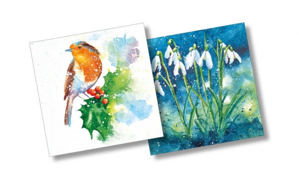 Robin & Snowdrops Christmas Cards Pack Of 10