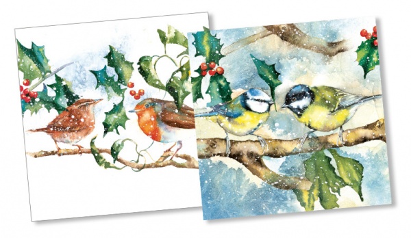 Wren and Robin & Blue Tit and Great Tit Christmas Cards Pack Of 10