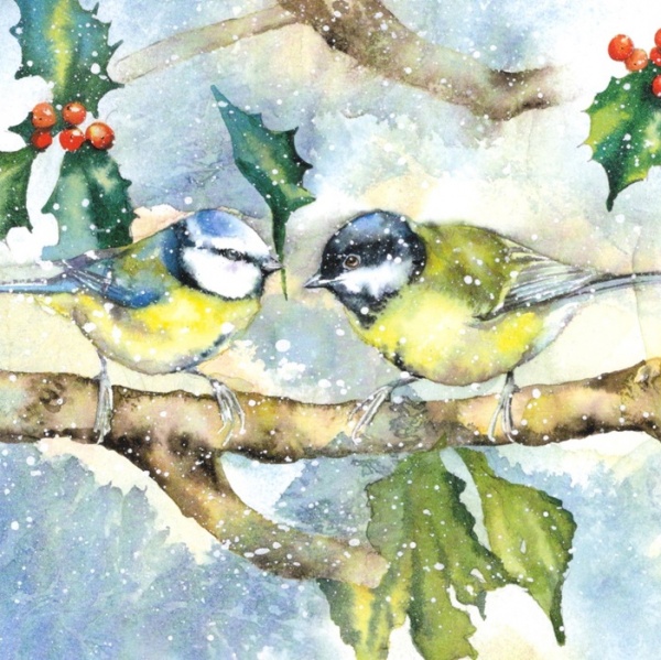 Wren and Robin & Blue Tit and Great Tit Christmas Cards Pack Of 10