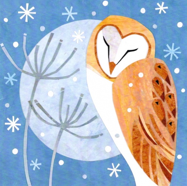 Wren & Barn Owl Christmas Cards Pack Of 10