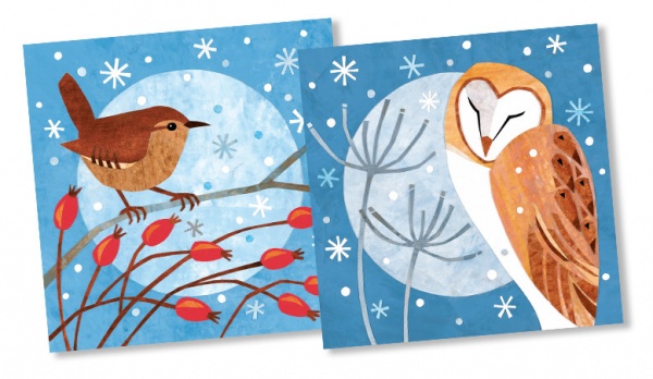 Wren & Barn Owl Christmas Cards Pack Of 10