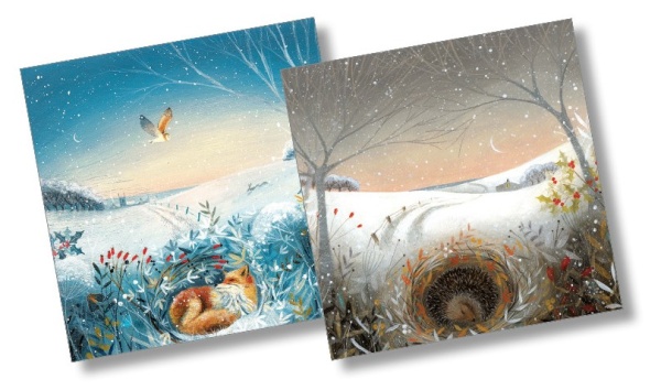 The Snow Cub & A Winter Sleep Christmas Cards Pack Of 10