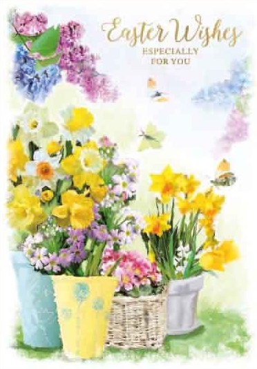 Daffodil Pots Easter Card