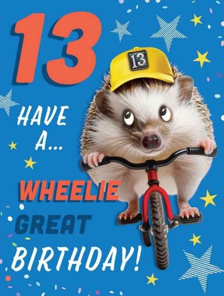 Bike Hedgehog 13th Birthday Card