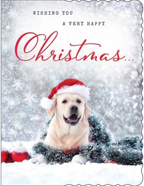 Festive Dog Christmas Card