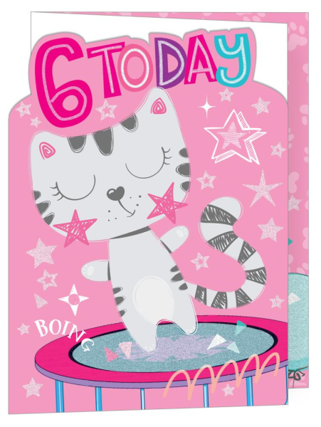 Cat 6th Birthday Card