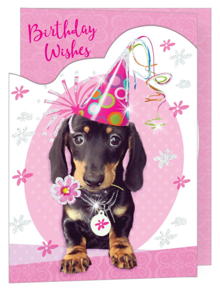 Birthday Dog Birthday Card