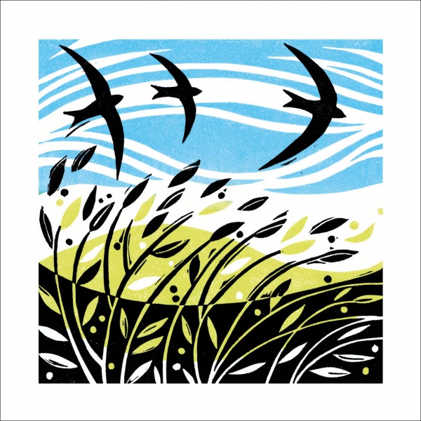 Swooping Swifts Greeting Card