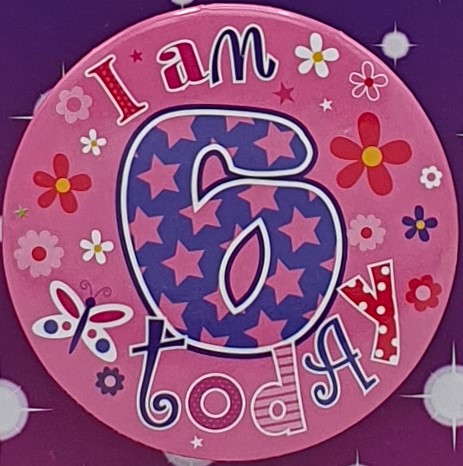 Pink I Am 6 Today Birthday Badge