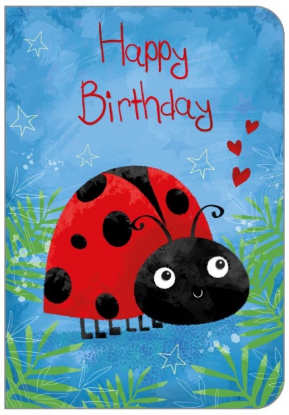 Red Ladybird Birthday Card