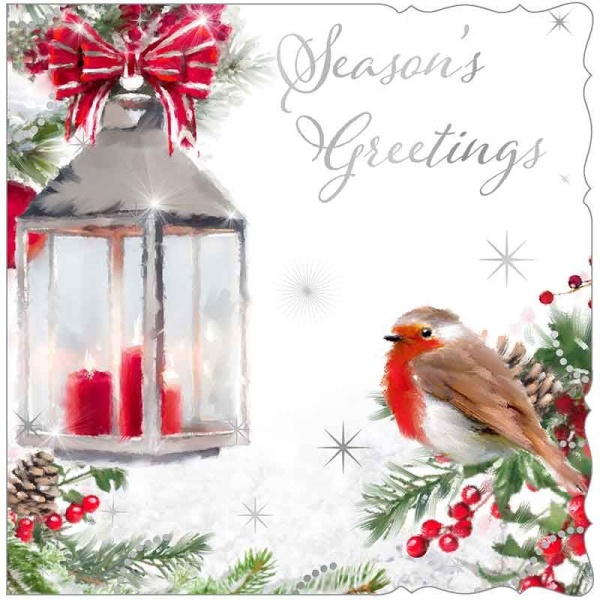 Winter Robin Christmas Cards Pack Of 12