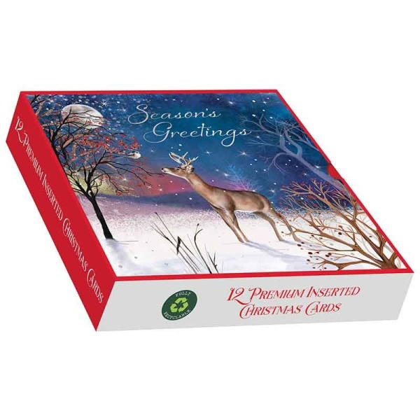 A Winter's Night Christmas Cards Pack Of 12