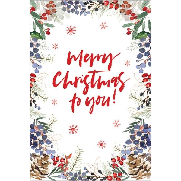 Family 50 Christmas Cards Pack Of 50