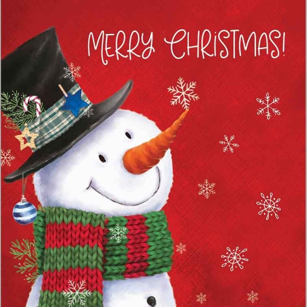 Family 50 Christmas Cards Pack Of 50