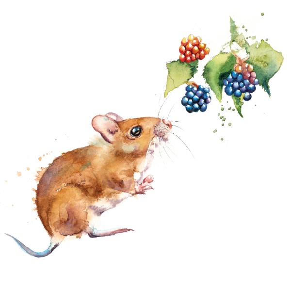 Mouse & Blackberries Greeting Card