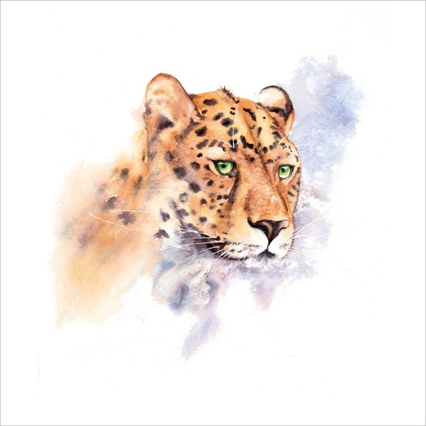 Cheetah Greeting Card