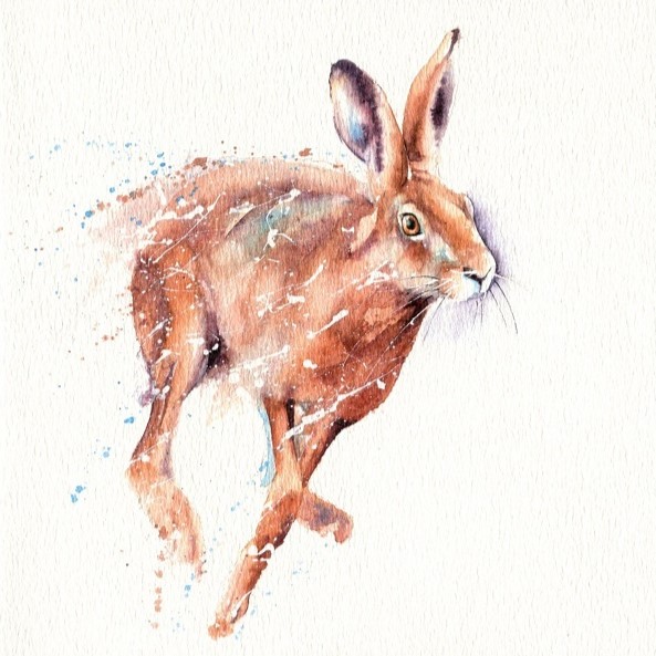Running Hare Greeting Card