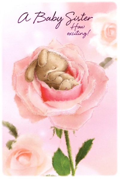 A Baby Sister New Baby Card