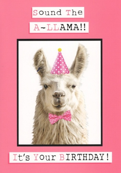 Sound The A-Llama Birthday Card