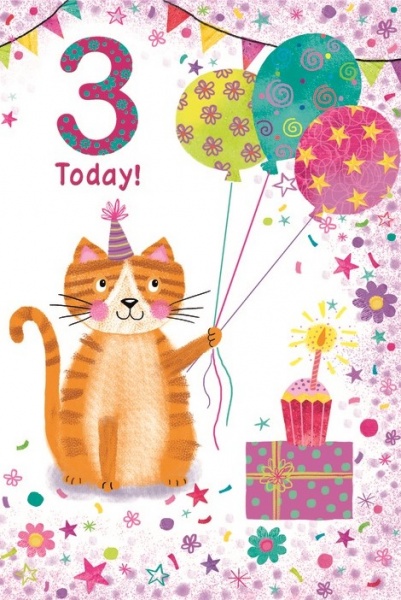 Party Cat 3rd Birthday Card