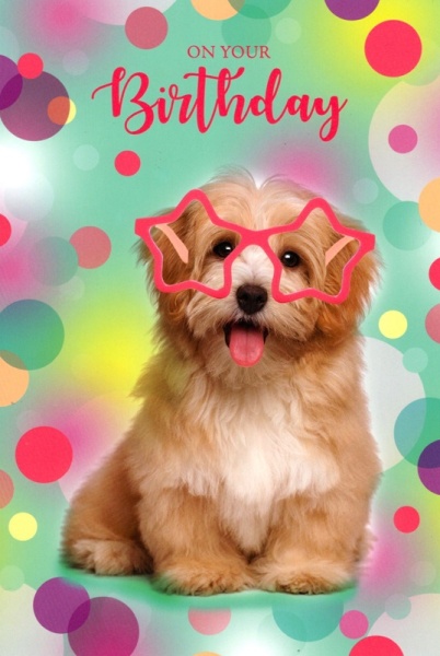 Spots & Stars Puppy Birthday Card
