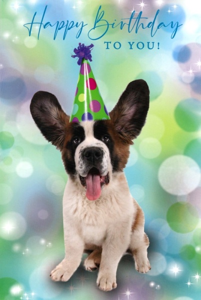 Party Hat Puppy Birthday Card