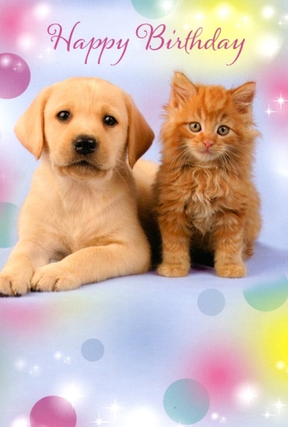 Puppy & Kitten Birthday Card