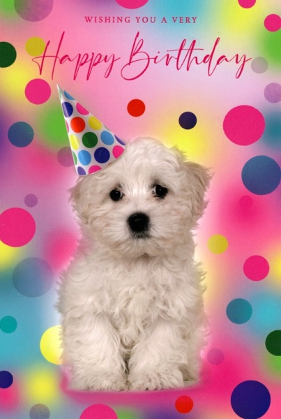 Spots Party Hat Dog Birthday Card