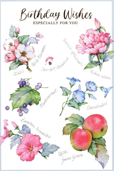 Apple Blossom Birthday Card