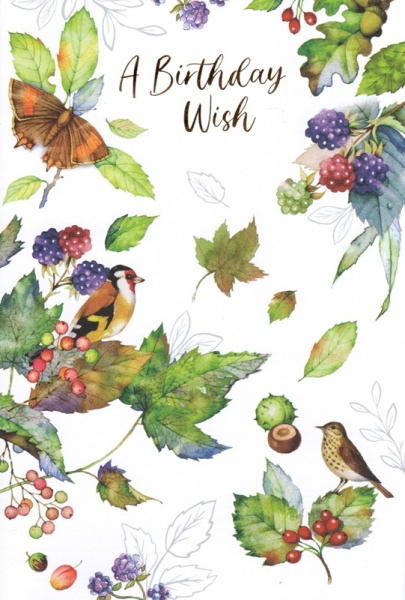 Birds & Berries Birthday Card