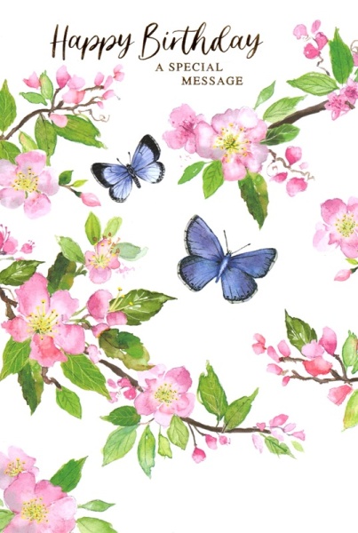 Butterflies & Blossoms Birthday Card