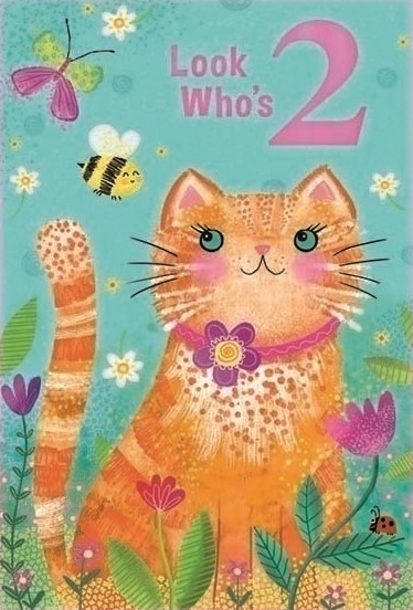 Ginger Cat 2nd Birthday Card