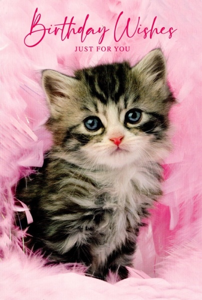 Kitten Birthday Card