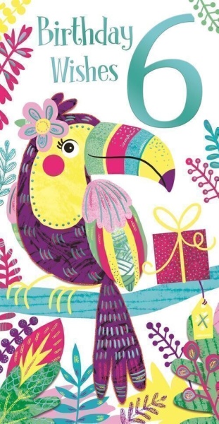 Toucan 6th Birthday Card