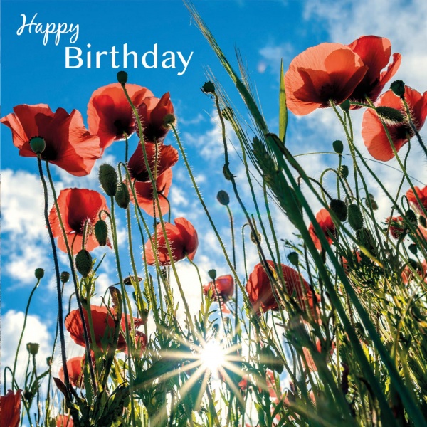 Poppies And Sunburst Birthday Card