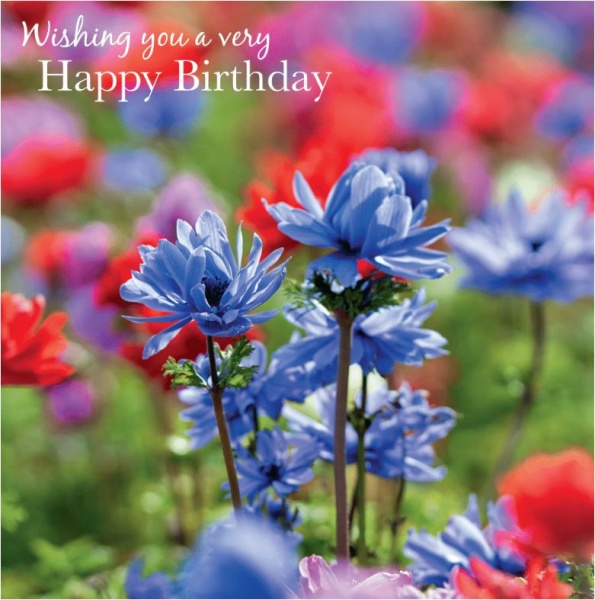 Anemones Birthday Card