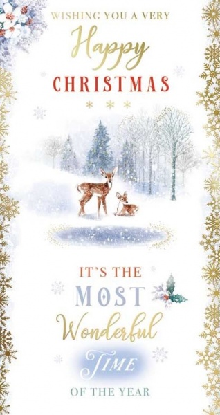 The Most Wonderful Time Christmas Card